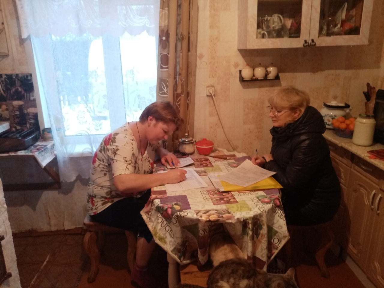 Выезды мобильной бригады в Кирилловском районе продолжаются