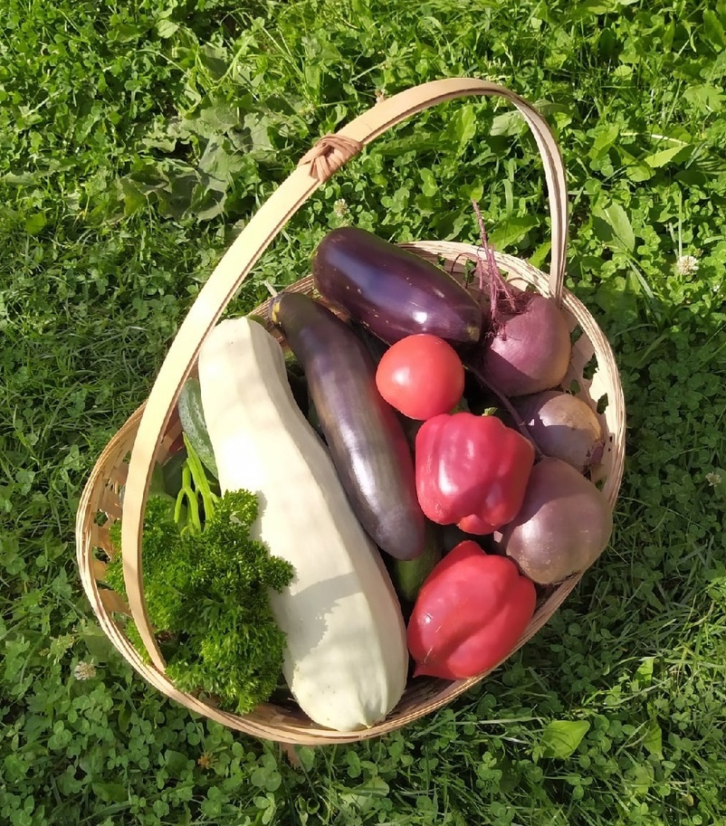 Осенний смотр-конкурс "Чудо огородное"